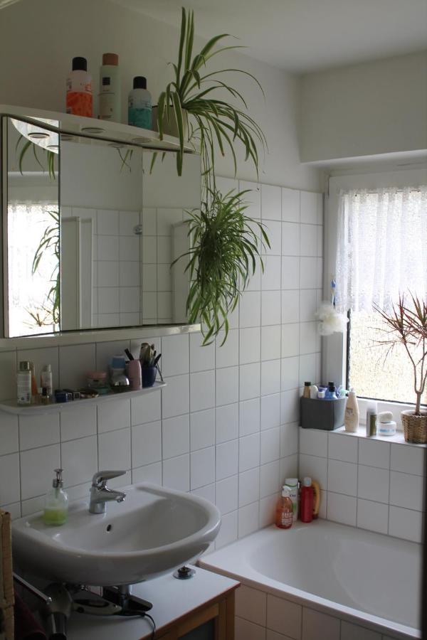 Bed & Breakfast Bonn 24 Mai Bis14 Juni Mit Hund In Der Wohnung Exterior photo