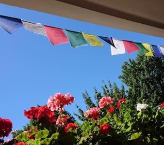 Bed & Breakfast Bonn 24 Mai Bis14 Juni Mit Hund In Der Wohnung Exterior photo