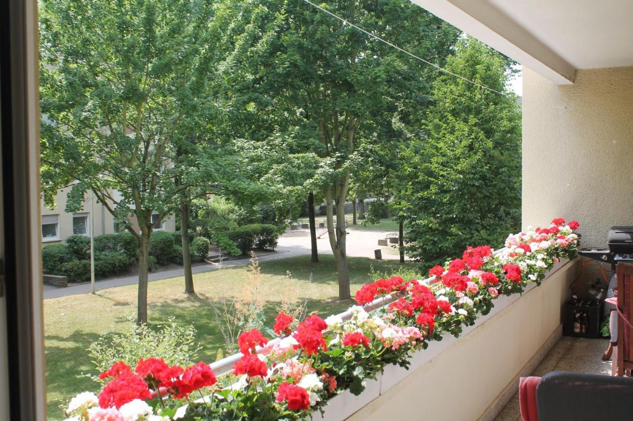 Bed & Breakfast Bonn 24 Mai Bis14 Juni Mit Hund In Der Wohnung Exterior photo